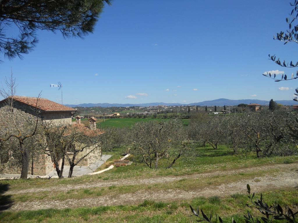 Hostal Selva Degli Ulivi Foiano Della Chiana Exterior foto